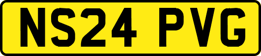 NS24PVG
