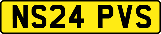 NS24PVS