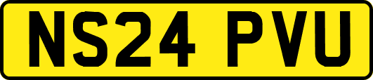 NS24PVU