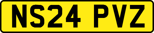 NS24PVZ