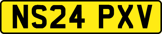 NS24PXV