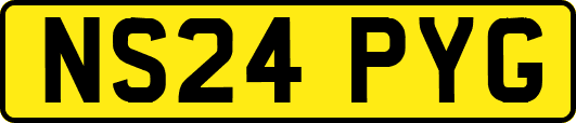NS24PYG