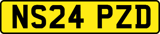 NS24PZD