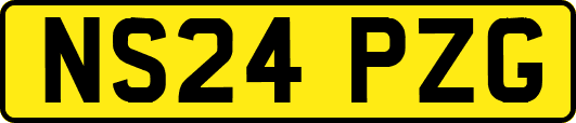 NS24PZG