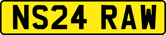 NS24RAW
