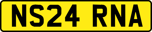 NS24RNA