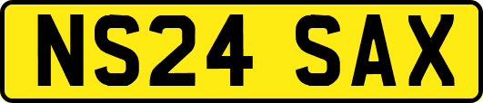 NS24SAX
