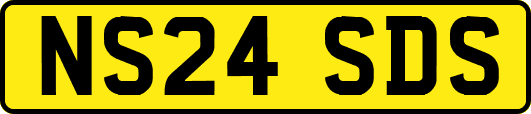 NS24SDS