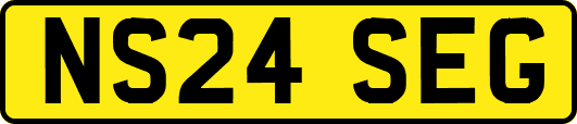 NS24SEG