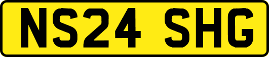 NS24SHG
