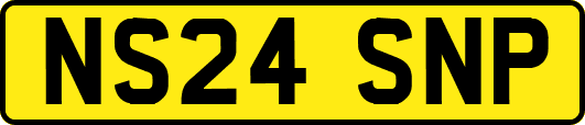 NS24SNP