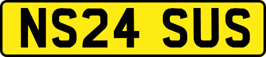 NS24SUS
