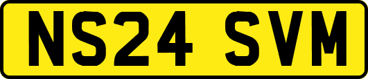 NS24SVM