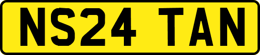 NS24TAN