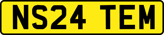 NS24TEM