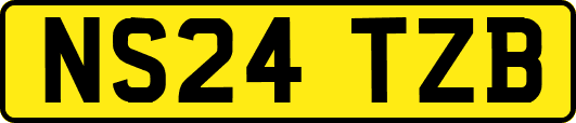 NS24TZB