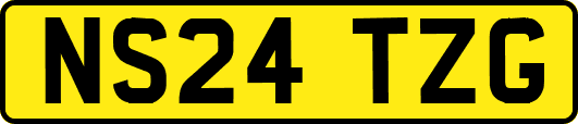 NS24TZG