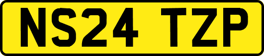 NS24TZP