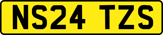 NS24TZS