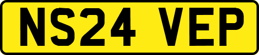 NS24VEP