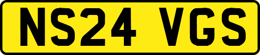 NS24VGS