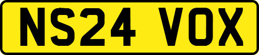 NS24VOX