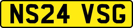 NS24VSG