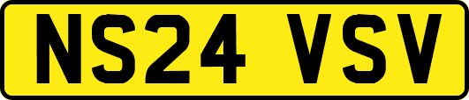 NS24VSV