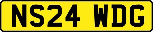 NS24WDG