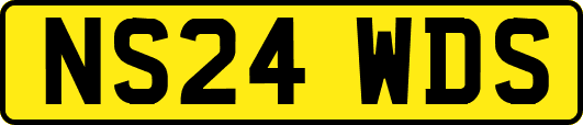 NS24WDS