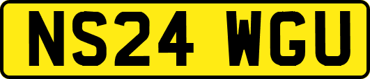 NS24WGU
