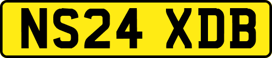 NS24XDB