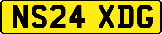 NS24XDG