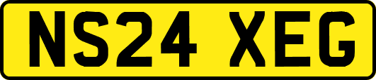 NS24XEG