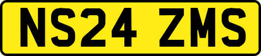 NS24ZMS
