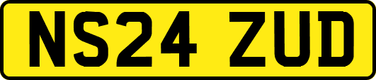 NS24ZUD