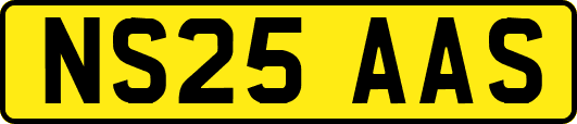 NS25AAS