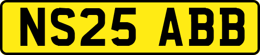 NS25ABB