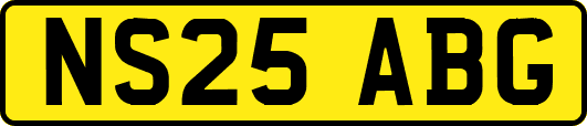 NS25ABG