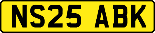 NS25ABK