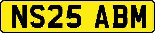 NS25ABM