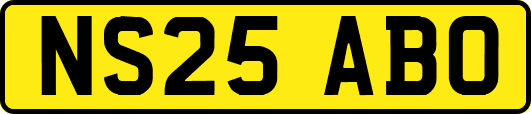 NS25ABO