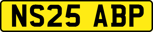 NS25ABP