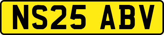 NS25ABV