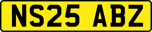 NS25ABZ