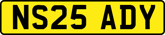 NS25ADY