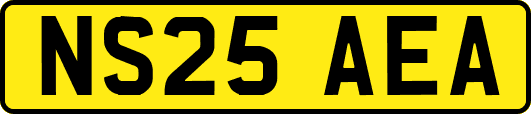 NS25AEA