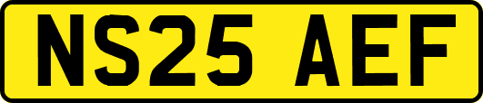 NS25AEF
