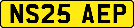 NS25AEP