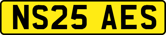 NS25AES